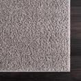 Load image into Gallery viewer, Judy Solid Gray Washable Shag Rug
