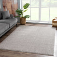 Load image into Gallery viewer, Judy Solid Gray Washable Shag Rug
