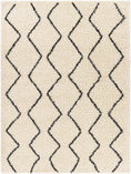 Load image into Gallery viewer, Assiniboia Moroccan Shag Rug
