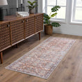 Load image into Gallery viewer, Bian Washable Distressed Rug - Limited Edition
