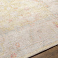 Load image into Gallery viewer, Bozkurt Distressed Washable Rug
