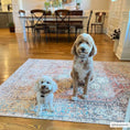 Load image into Gallery viewer, Beck Peach Washable Area Rug
