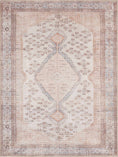 Load image into Gallery viewer, Analu Peach Washable Area Rug
