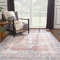 Load image into Gallery viewer, Ambre Distressed Red Washable Rug - Limited Edition
