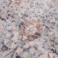 Load image into Gallery viewer, Dauis Brown&Blue Washable Persian Style Rug
