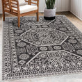 Load image into Gallery viewer, Kingscliff Black&White Outdoor Rug - Clearance
