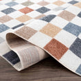 Load image into Gallery viewer, Alie Colorful Checkered Washable Rug
