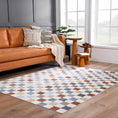 Load image into Gallery viewer, Alie Colorful Checkered Washable Rug
