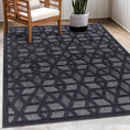 Load image into Gallery viewer, Nuri Black Outdoor Rug
