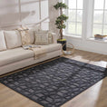 Load image into Gallery viewer, Nuri Black Outdoor Rug
