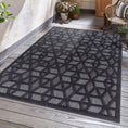 Load image into Gallery viewer, Nuri Black Outdoor Rug
