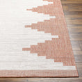 Load image into Gallery viewer, Djugun Peach Fuzz Indoor & Outdoor Rug - Clearance
