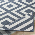 Load image into Gallery viewer, Abilene Outdoor Rug - Clearance
