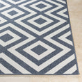 Load image into Gallery viewer, Abilene Outdoor Rug - Clearance
