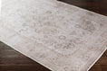 Load image into Gallery viewer, Bethany Washable Area Rug
