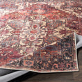 Load image into Gallery viewer, Bondville Washable Area Rug
