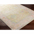 Load image into Gallery viewer, Bozkurt Distressed Washable Rug
