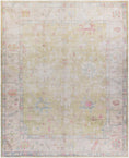 Load image into Gallery viewer, Bozkurt Distressed Washable Rug
