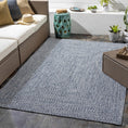 Load image into Gallery viewer, Blue Braided Faux Jute Rug
