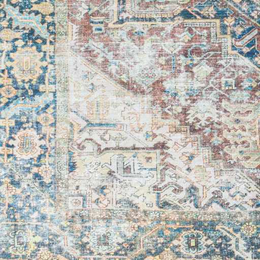 Blue Catigpian Distressed Washable Area Rug - Clearance