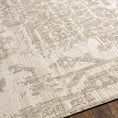 Load image into Gallery viewer, Beige Kilmacolm Outdoor Rug
