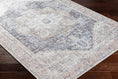 Load image into Gallery viewer, Beige Rosman Washable Area Rug
