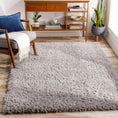 Load image into Gallery viewer, Siari Solid Medium Gray Shag Rug
