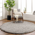 Load image into Gallery viewer, Siari Solid Medium Gray Shag Rug
