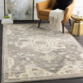 Load image into Gallery viewer, Broomfield 1196 Hand Tufted Taupe Wool Rug
