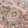 Load image into Gallery viewer, Bian Washable Distressed Rug - Limited Edition
