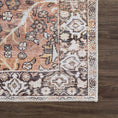 Load image into Gallery viewer, Bian Washable Distressed Rug - Limited Edition
