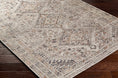 Load image into Gallery viewer, Barny Beige Washable Area Rug
