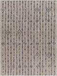 Load image into Gallery viewer, Demi Gray Washable Area Rug
