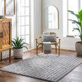 Load image into Gallery viewer, Demi Gray Washable Area Rug
