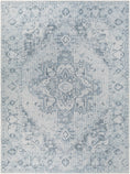 Load image into Gallery viewer, Ankti Aqua Washable Area Rug
