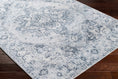 Load image into Gallery viewer, Ankti Aqua Washable Area Rug
