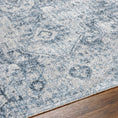 Load image into Gallery viewer, Ankti Aqua Washable Area Rug
