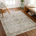 Load image into Gallery viewer, Cara Washable Area Rug
