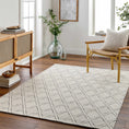 Load image into Gallery viewer, Aeron Wool Area Rug
