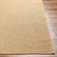 Load image into Gallery viewer, Zeta Faux Jute Outdoor Rug
