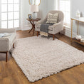 Load image into Gallery viewer, Siari Solid Oatmeal Shag Rug
