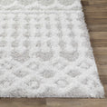 Load image into Gallery viewer, Vernonburg Shag Area Rug
